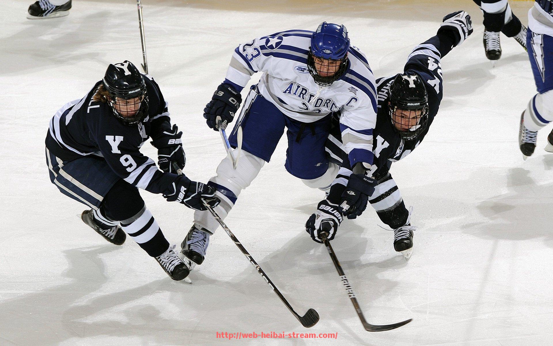 黑白体育直播-世俱杯赛场安全保障措施及风险防控策略